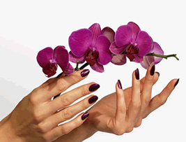 Mobile Manicures Bracknell Forest, Warfield, Ascot, Winkfield, Sunninghill, Holyport, Windlesham, Berkshirewindlesham, sunningdale, berkshire, reading, bracknell, areas